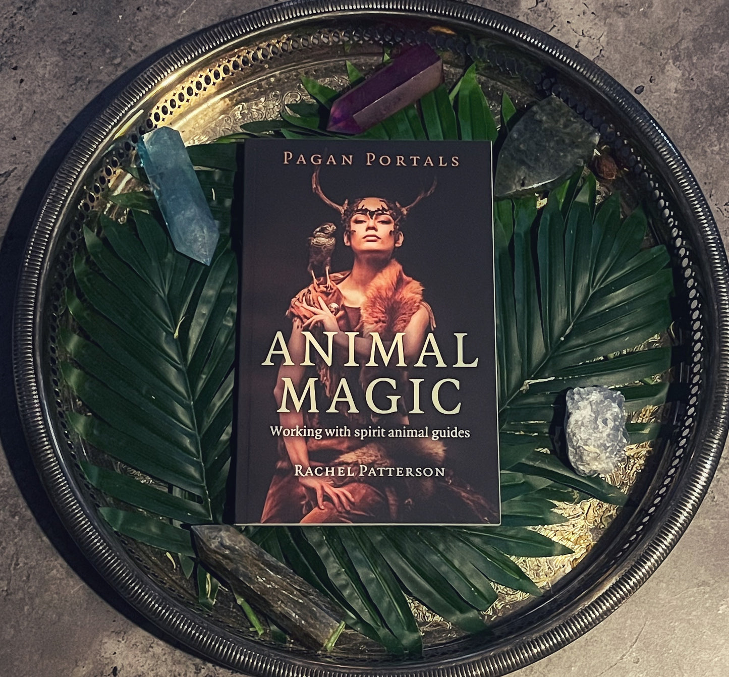 Pagan Portals: Animal Magic