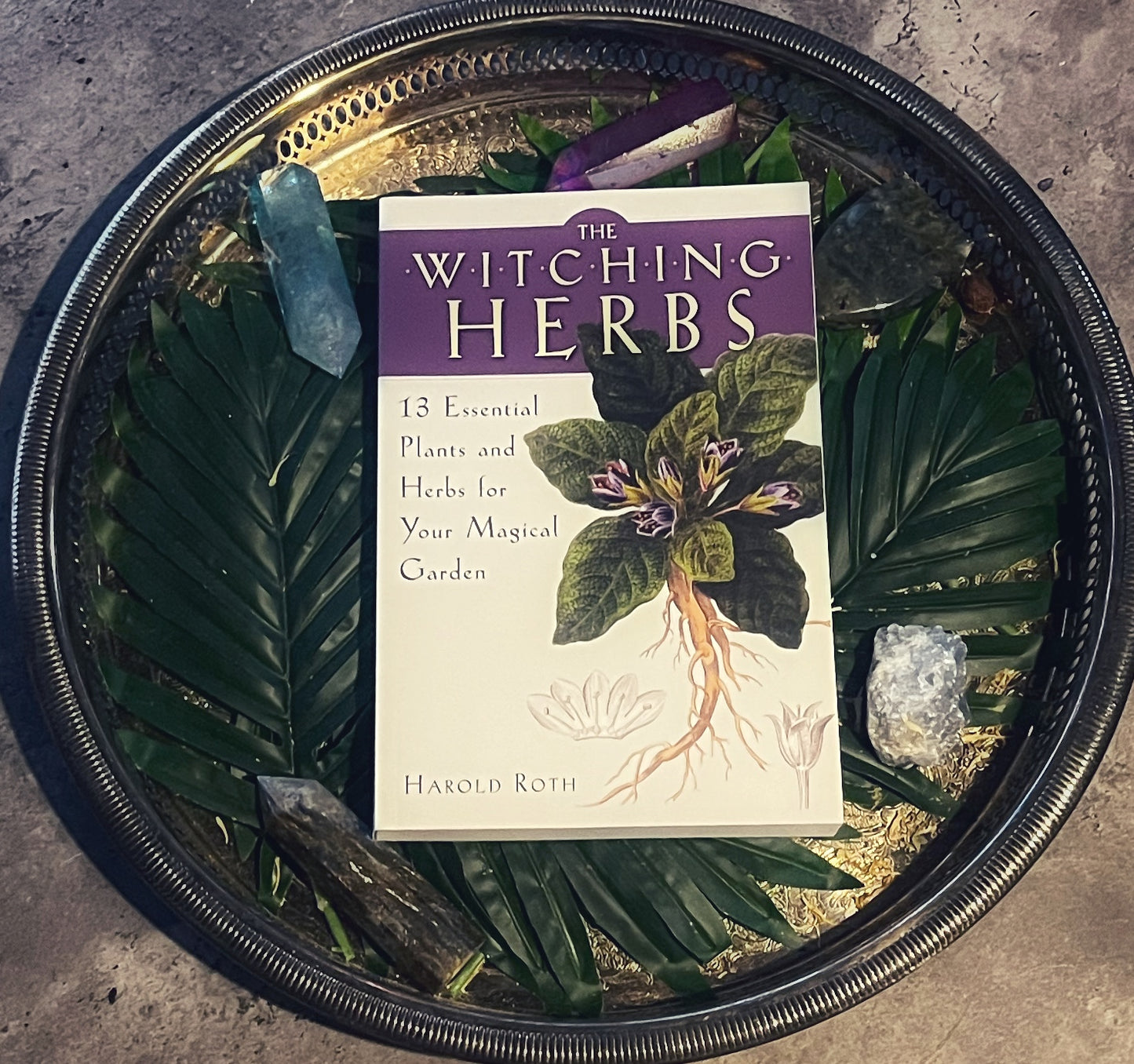 The Witching Herbs