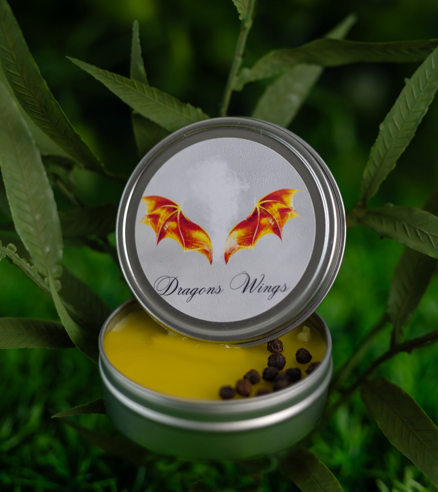 Dragon Wings Ointments image 0