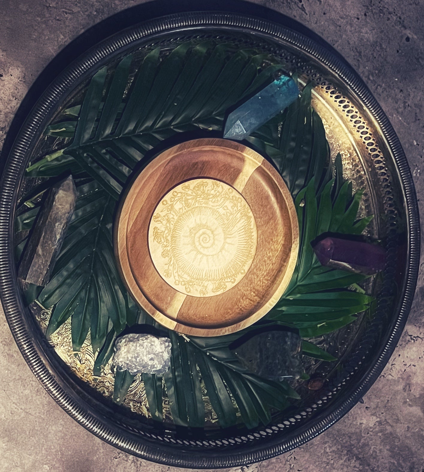 Ammonite Crystal Grid - Wood
