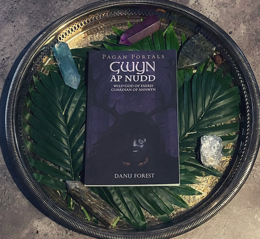 Pagan Portals: Gwyn Ap Nudd