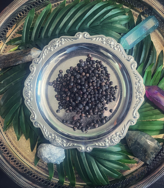 Juniper Berries