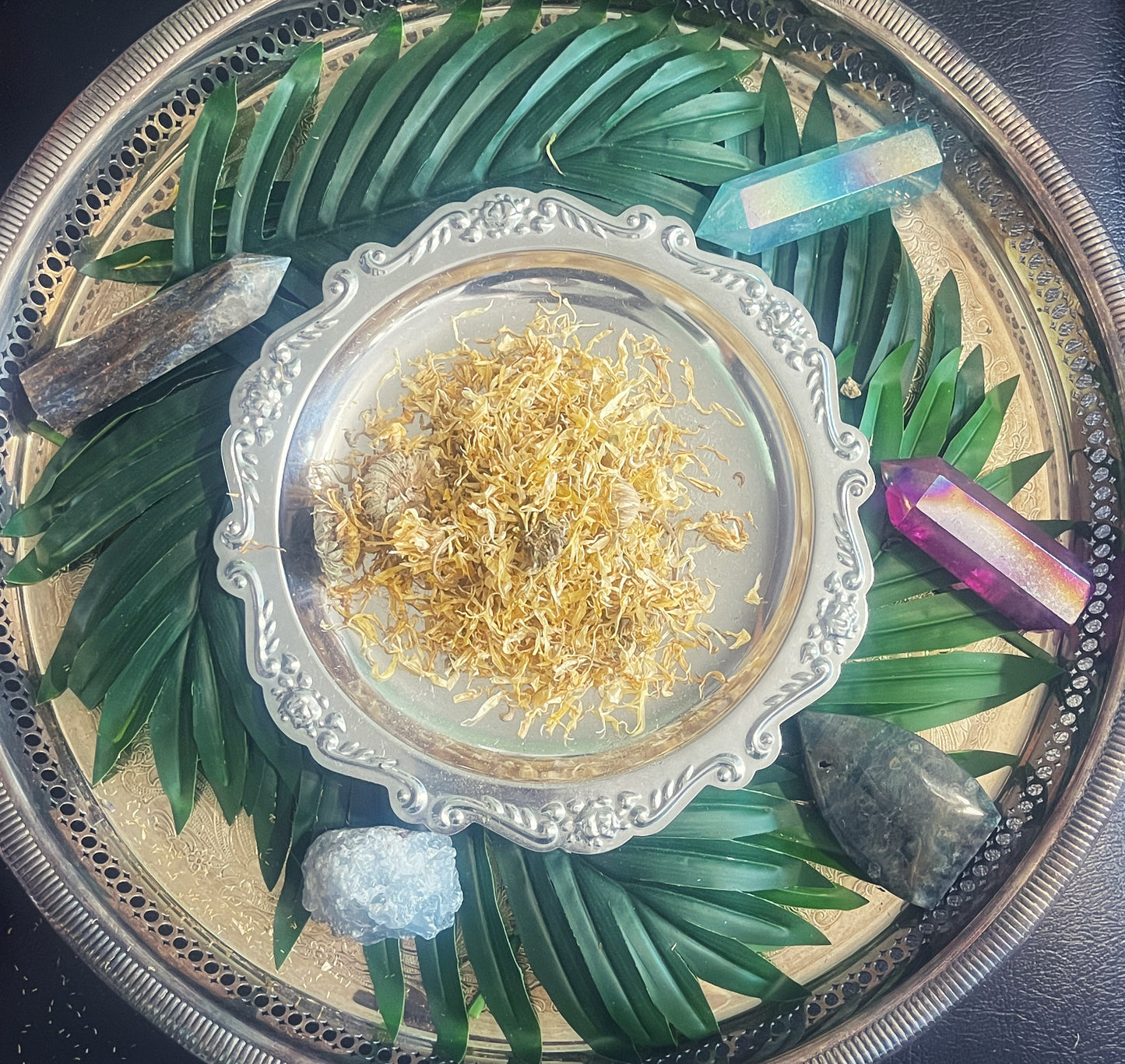 Calendula (Marigold)