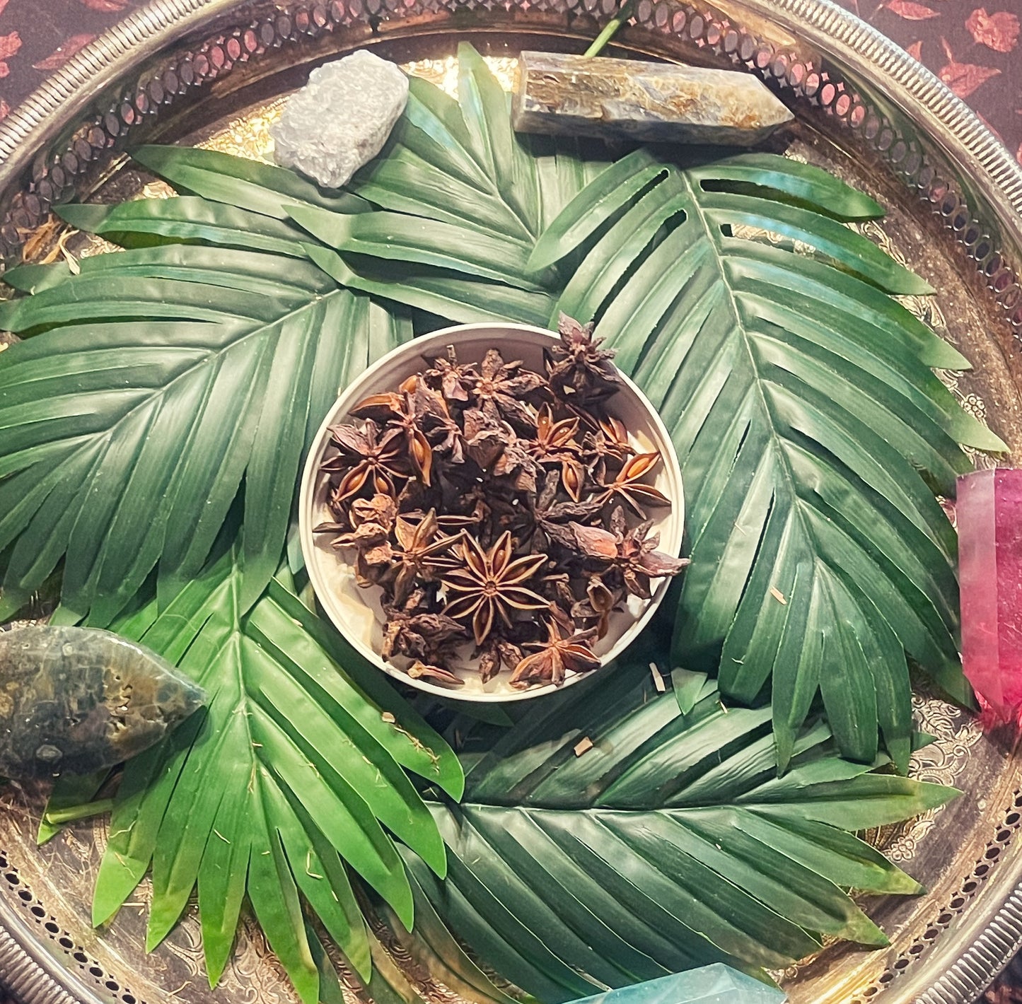 Star Anise