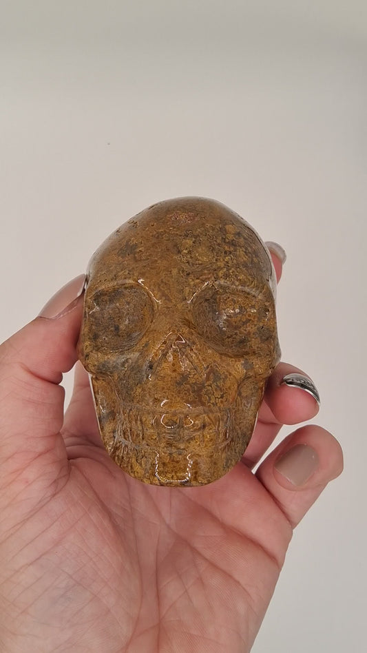 Brown Speckled Ocean Jasper Skull