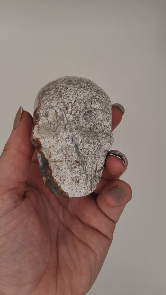 White and Brown Speckled Ocean Jasper Skull