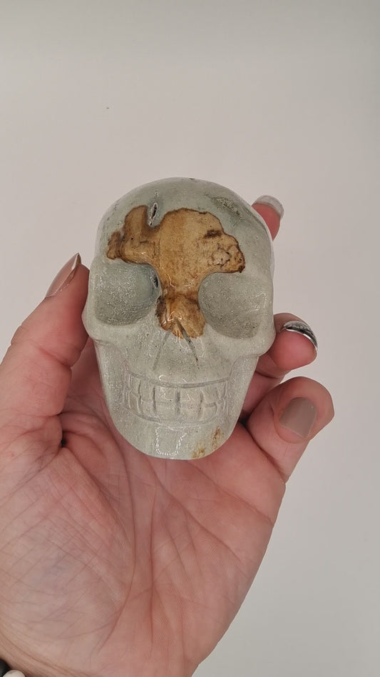 Light Green and Tan Ocean Jasper Skull