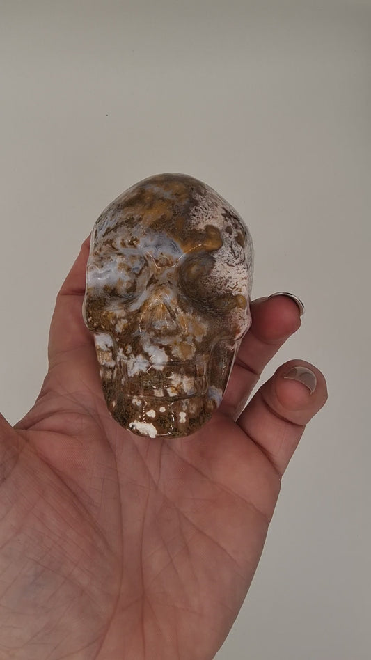 White and Brown Speckled Ocean Jasper Skull
