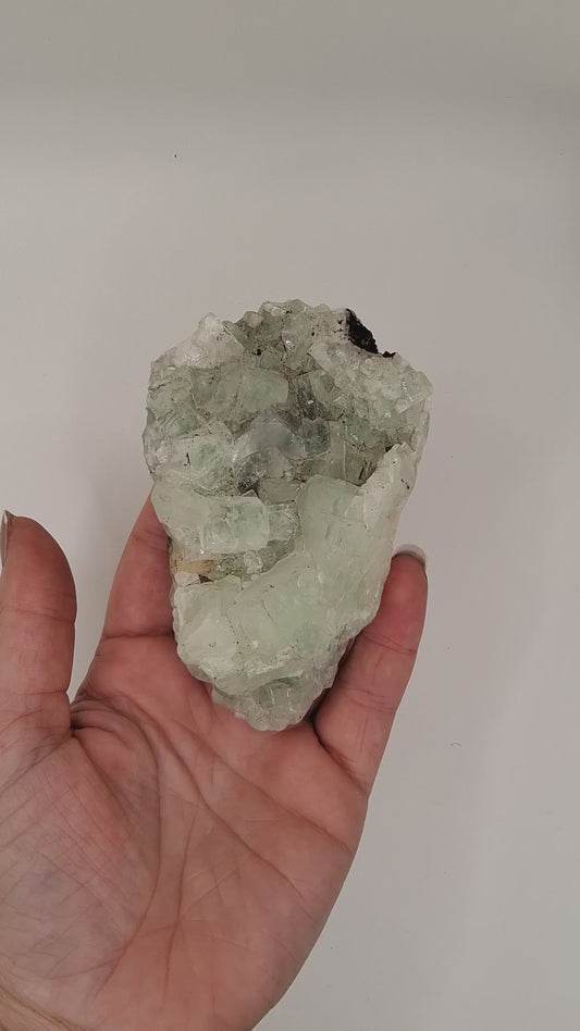Green Apophyllite