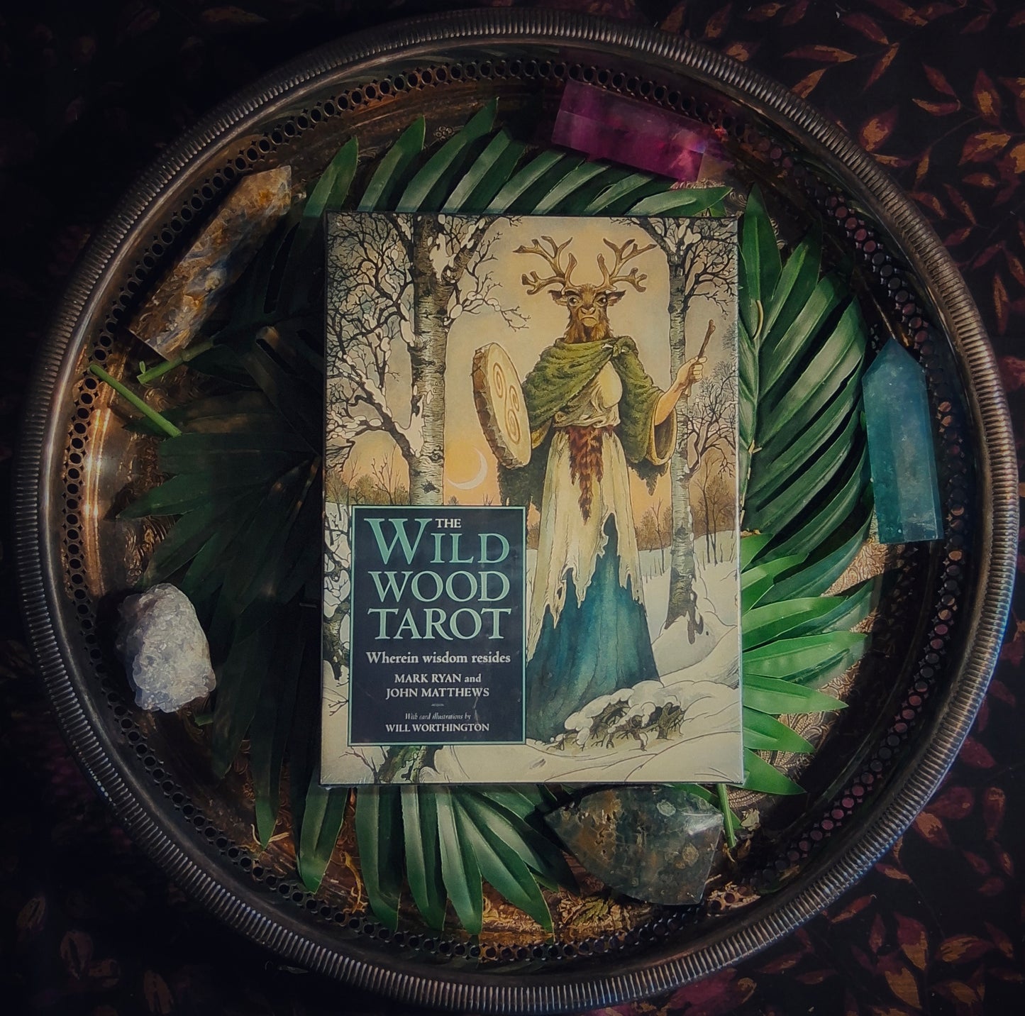 The Wild Wood Tarot